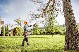 Best Emergency Tree Removal  in Dacula, GA