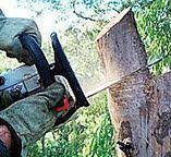 Best Leaf Removal  in Dacula, GA